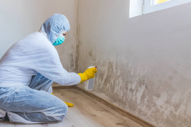 Commercial Mold Remediation assessment for commercial property in Parkhill