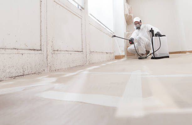 Black mold remediation team in Parkhill